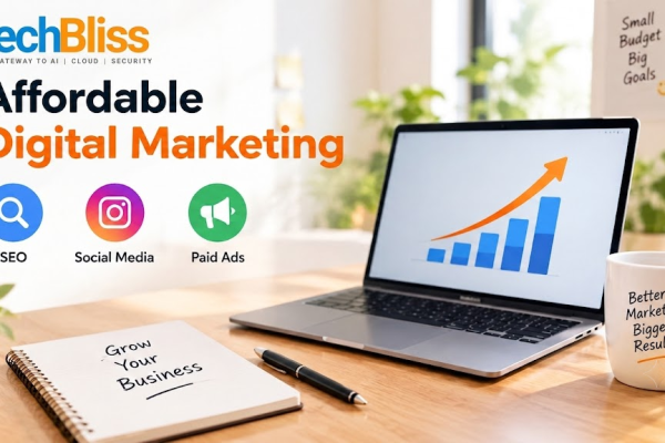 Affordable digital marketing packages for businesses with SEO social media and paid ads