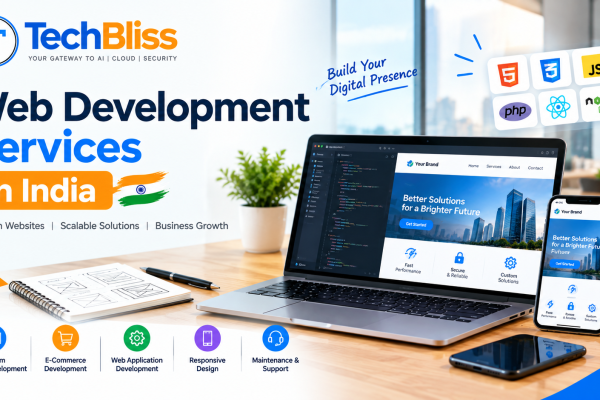 Web development services in India with Basic Standard and Premium packages
