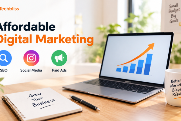 Affordable digital marketing packages for businesses with SEO social media and paid ads